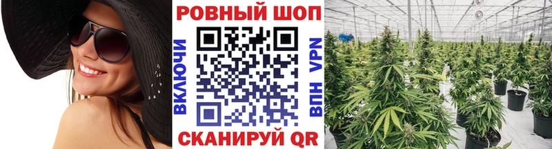 МЕФ Динская