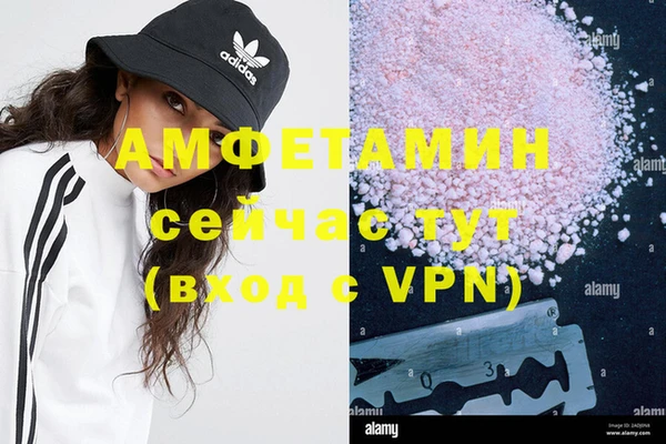 гидра Аркадак