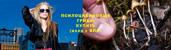 крисы Арсеньев