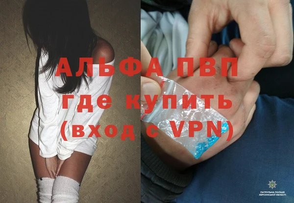 гидра Аркадак