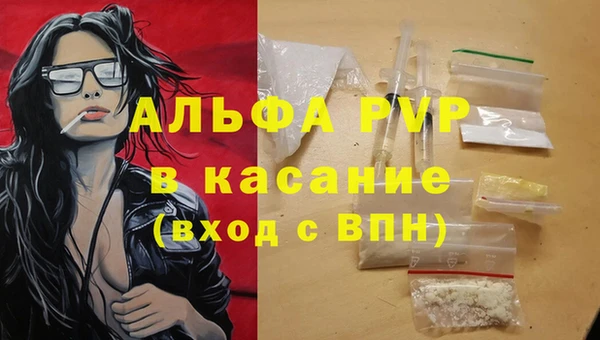 гидра Аркадак