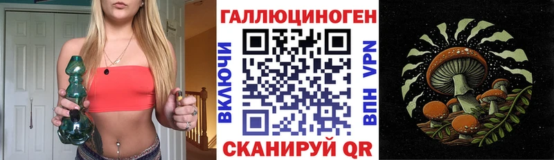 Псилоцибиновые грибы Psilocybe  где купить наркотик  Динская 